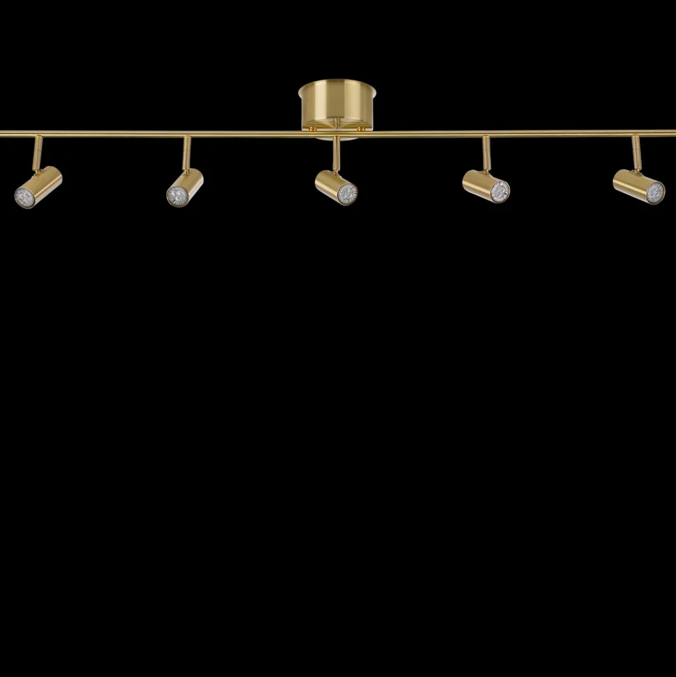 Cato spotlight skena