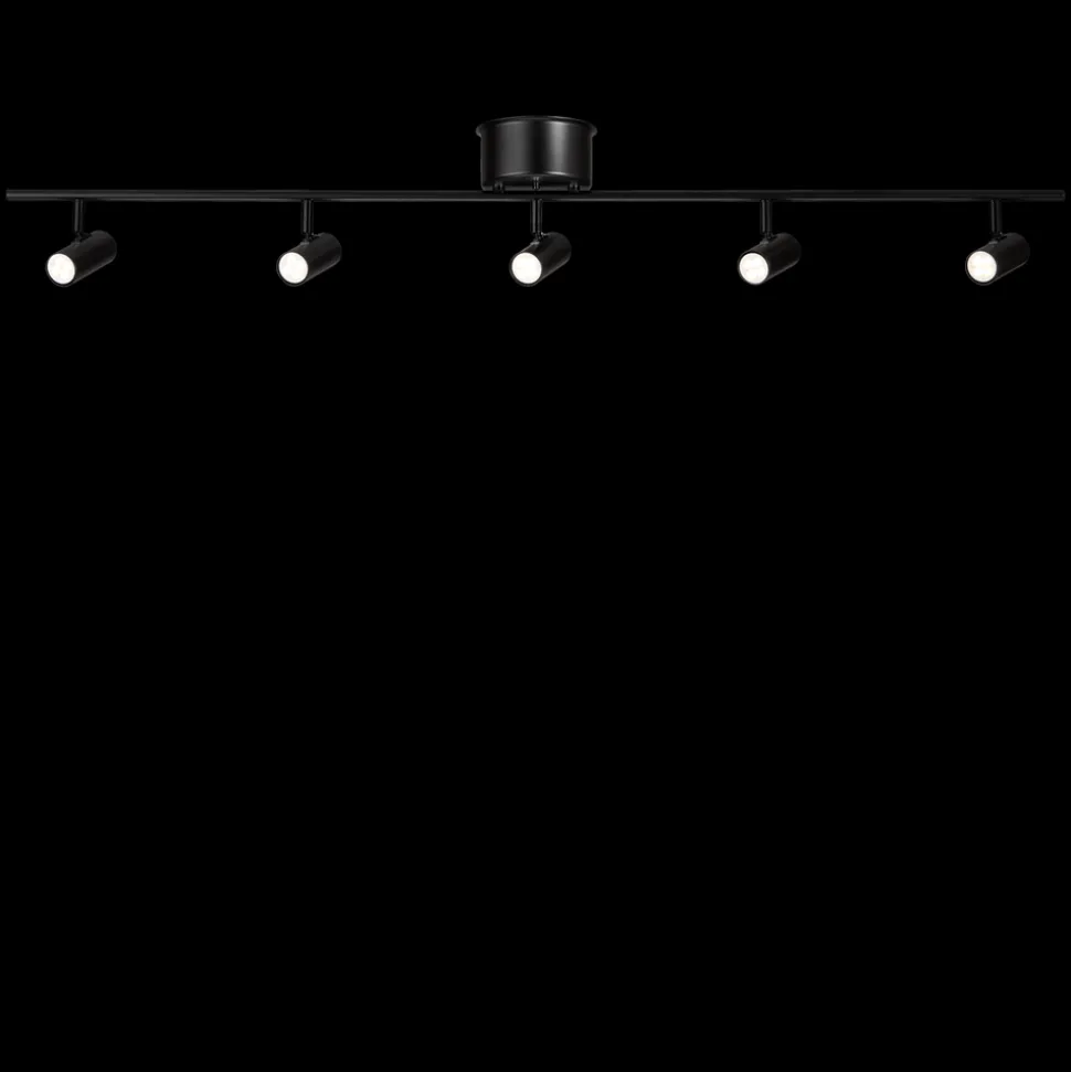 Cato spotlight skena