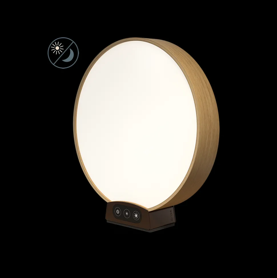 SolMate Mobil standard/office